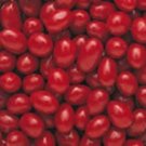 Boston Baked Beans 5LB Bag