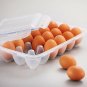 LOCK & LOCK Airtight Container Egg 18