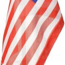 Americas & Americas USA Car Flag with Magnetic Base and Flexible Flag Pole
