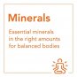 Now Supplements, Red Mineral Algae, 180 Veg Capsules