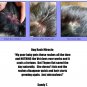 Thyme Out The Knockout Alternative For Eczema, Psoriasis, Acne, Dermatitis, R...