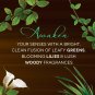 Bain de Terre Green Meadow Balancing Shampoo, with Argan and Monoi Oil, Parab...