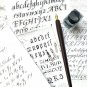 Plotube Wooden Pen Calligraphy Set - Dip Wood Pen Gift Writing Case with Gold...