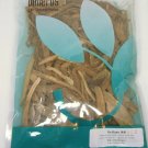 Sichuan Teasel Root / Xu Duan / Dipsacus Asper, 1lb, 454g, Bulk Herb