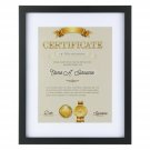 ONE WALL Tempered Glass 11x14 Document Frame with 1 Mat for 8.5x11 Documents ...