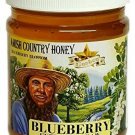 Goshen Honey Amish Extremely Raw BLUEBERRY Blossom Honey 100% Natural Honey H...