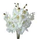 JAROWN 4pcs 30" Phalaenopsis Orchid Artificial Branches Real Touch Latex Flow...