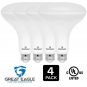 Great Eagle R40 or BR40 LED Bulb, 15W (120W Equivalent), 1480 Lumens, Brighte...