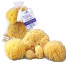 Real Natural Sea Sponges Multipack - 5pc Spa Gift Set in Premium Bag, Kind on...