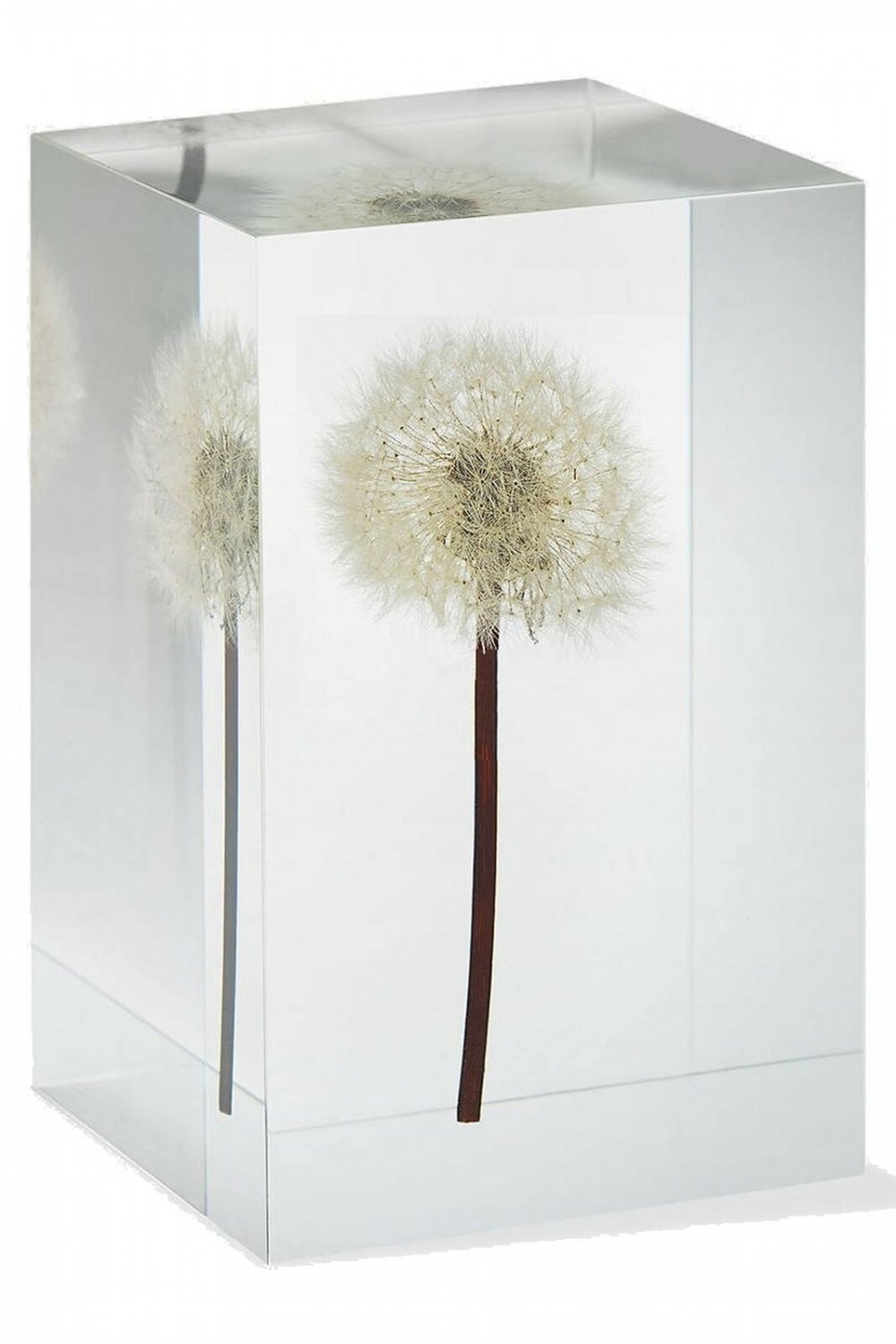 Dandelion Objet D'Art MoMA Exclusive/MoMA Best Seller