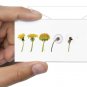 Dandelion Objet D'Art MoMA Exclusive/MoMA Best Seller