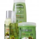Mayoliva Set, 4 in 1 Combo Set (8oz Treatment) 8oz Treatment