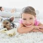 Capture Carpet Dry Cleaner Powder 4 Pound-Resolve Allergens Smell Moisture fr...