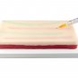 Venipuncture IV Injection Training Pad Model, 4 Veins Imbedded & 3 Skin Layer...
