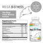 Solaray&Acirc;&reg; Mega Vitamin B-Stress, Two-Stage Timed-Release | Specially Formulate...