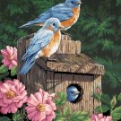 Dimensions PBN 14x20 Garden Bluebirds