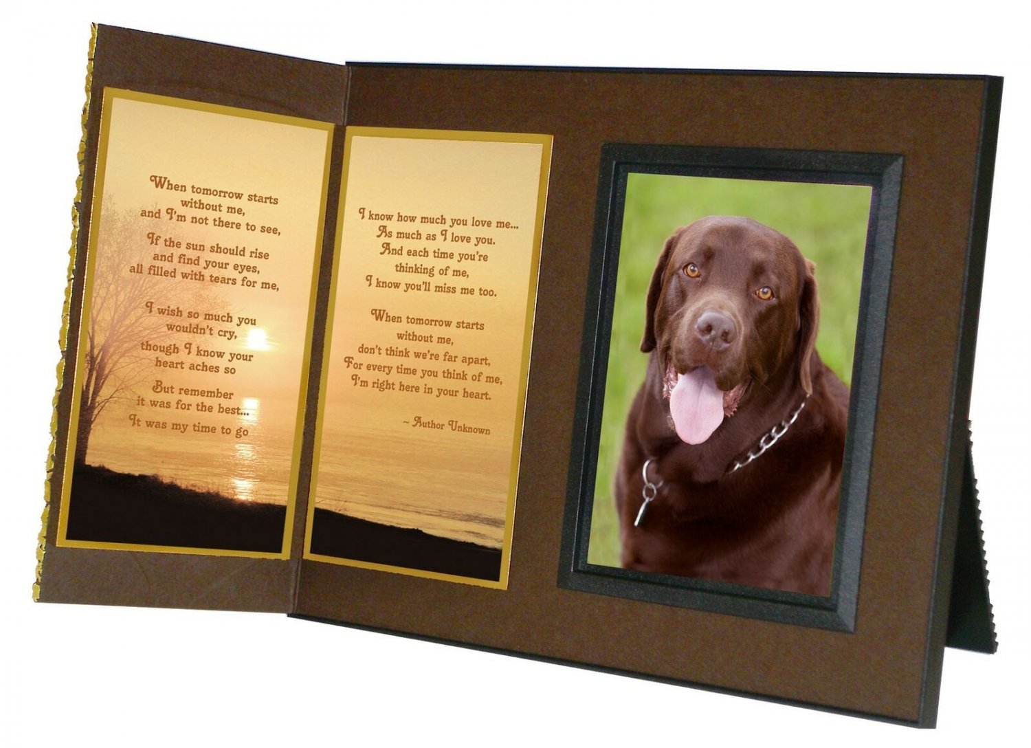 Pet Lover Remembrance Gift, When Tomorrow Starts Without Me Poem, Memorial Pe...
