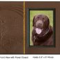 Pet Lover Remembrance Gift, When Tomorrow Starts Without Me Poem, Memorial Pe...
