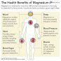 InnovixLabs Advanced Magnesium with High Absorption Malate and Glycinate. Hig...
