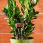 Bosmere Small-Faced Copper Plate Metal Plant Marker, 10" High (Pack of 20)