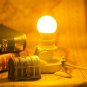 LOHAS Bug Light Bulb Yellow LED Bulbs, Outdoor Porch Lights, Amber Bedroom Ni...