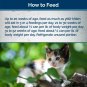 Blue Buffalo Wilderness High Protein Grain Free, Natural Kitten Pate Wet Cat ...