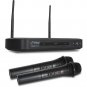 Dual Channel Wireless Microphone System - Dual Frequency Wireless Mic Receive...