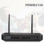 Dual Channel Wireless Microphone System - Dual Frequency Wireless Mic Receive...