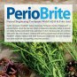 Nature's Answer PerioBrite Natural Toothpaste, Cool Mint, 4-Ounce (Pack of 2)