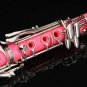 Glory B Flat Clarinet with Second Barrel, 11reeds,8 Pads Cushions,case,careki...