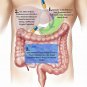 Lean Nutraceuticals Probiotic 50 Billion CFU 15 Strains Shelf Stable Potency ...