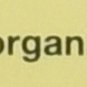 Touch Organic Organic Green Tea