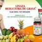 Leonflax Canadian Flaxseed Plus Fat Reducer 60 Capsules 1000mg 2-PACK
