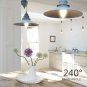 E12 LED Candelabra Bulb, 60W Equivalent 2700K Warm White and 6W 550LM Non-Dim...