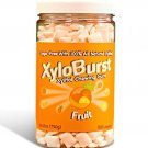 Focus Nutrition, XyloBurst Sugar-Free Xylitol Chewing Gum Jar, Fruit - 500 Pi...