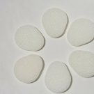6 Replacement Pads for Lotion Applicator