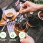 Four Sigmatic Mushroom Mocha - USDA Organic Coffee and Cacao with Chaga Mushr...