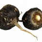 Organic Gelatinized Black Maca Root Powder - Fresh Harvest from Peru, Fair Tr...