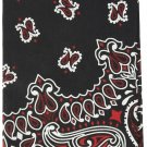 Carolina Hav, A, Hank Paisley Bandanna, 22-Inch by 22-Inch, Black, Red, White