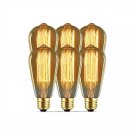 Modvera Lighting 60W Edison Light Bulb - Omni Directional Squirrel Cage Filam...