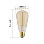 Modvera Lighting 60W Edison Light Bulb - Omni Directional Squirrel Cage Filam...
