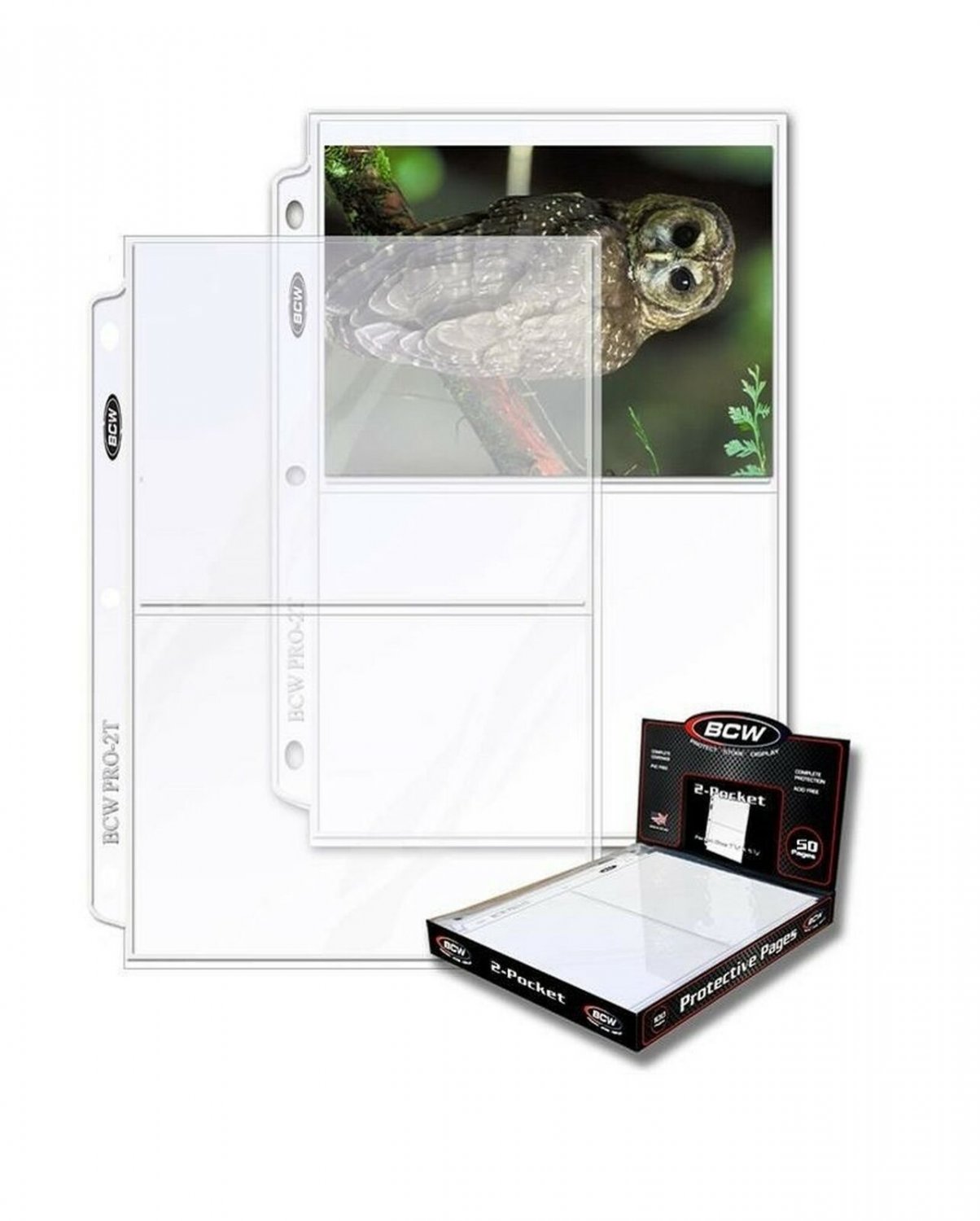 BCW Protective Pages Crystal Clear for Photographs or Postcards | 2-Pocket Pa...