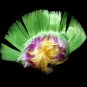 Fun Central LED Light Up Mohawk Wig Headband for Women & Men - Mardi Gras Par...