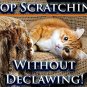 Pet MasterMind Claw Withdraw Stop Cat Scratching Training Spray - Natural Sol...