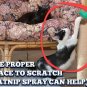 Pet MasterMind Claw Withdraw Stop Cat Scratching Training Spray - Natural Sol...