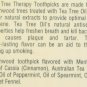 Tea Tree Therapy Tea Tree Toothpicks 100 Picks (Pack of 12) 12 pack
