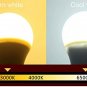 12V Low Voltage LED Light Bulbs - Warm White 7W E26 Standard Base 60W Equival...