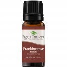 Plant Therapy Frankincense Serrata Essential Oils 100% Pure, Undiluted, Natur...