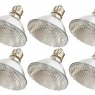 Par30 Halogen Light Bulbs, 6 Pack 60 Watt (75w Replacement), 1100 Lumens E26 ...