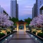 Solar Ground Lights,Solar Garden light Light for Driveway Pathway Walkway Out...